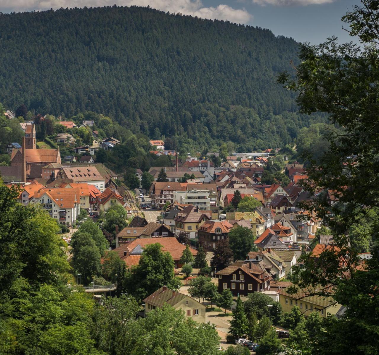 Kraehenbad Hotel Alpirsbach Exteriör bild