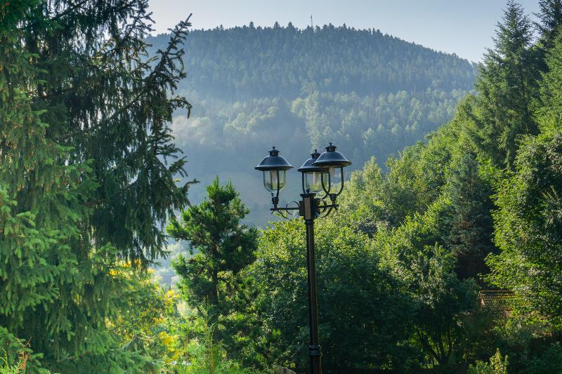 Kraehenbad Hotel Alpirsbach Exteriör bild